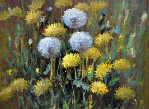 Dandelions in the meadow by Elena Lukina
