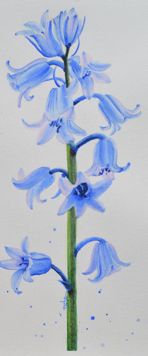 Bluebell a magical flower! by Neha Soni