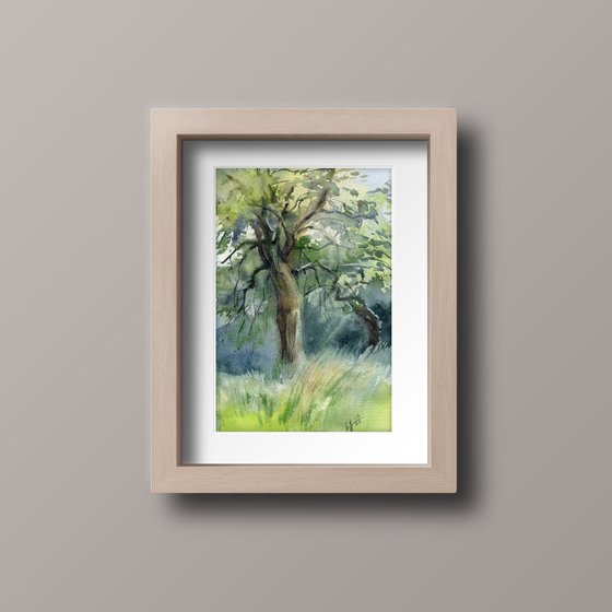 Watercolor landscape with an old tree