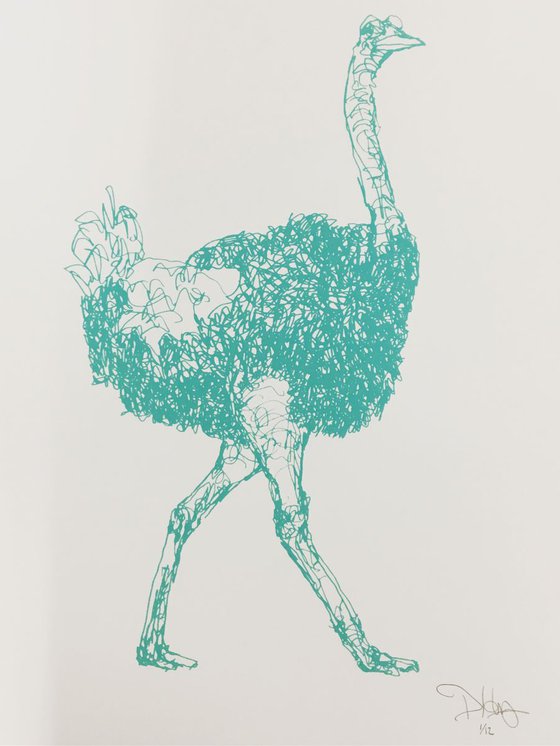 Squiggly Ostrich