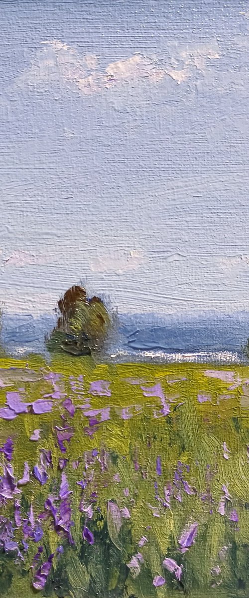 Impression. Flowering meadow by Oleh Rak