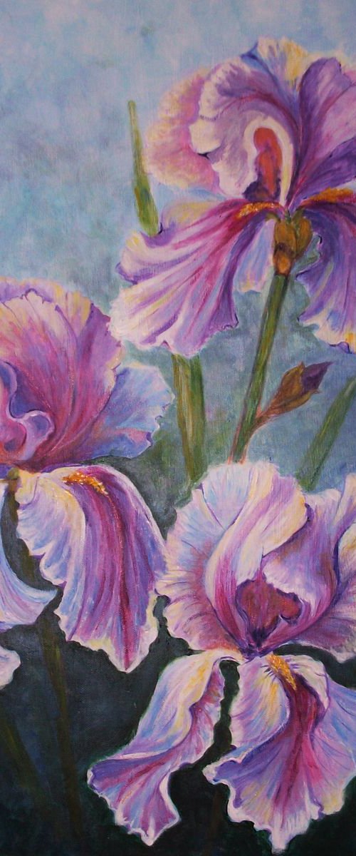 IRIS EXTRAVAGANZA by Lynda Cockshott