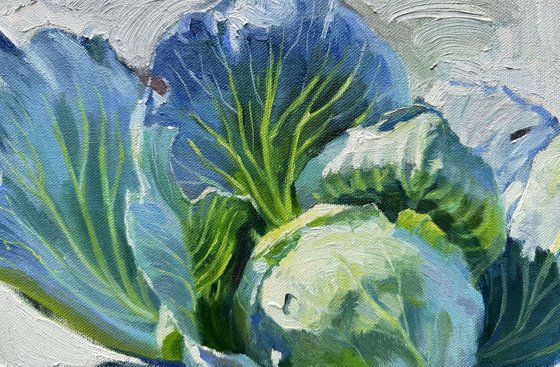 The Cabbage #2