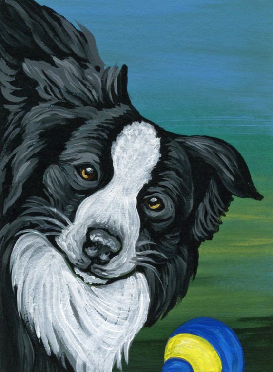 ACEO ATC Original Painting Border Collie Play Ball Dog Art-Carla Smale