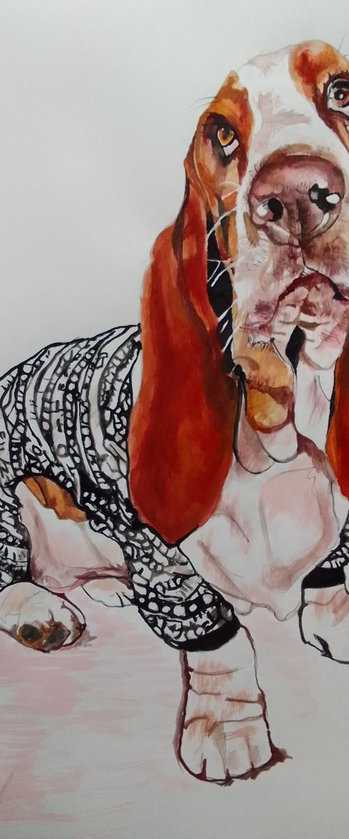 Basset Hound by Soso Kumsiashvili