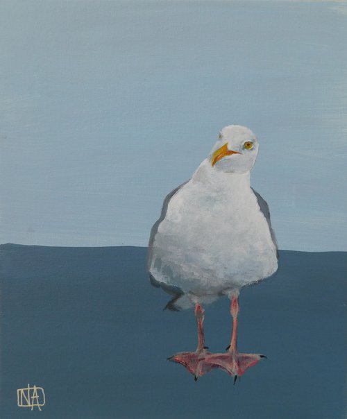 Seagull by Nichola Artemenko