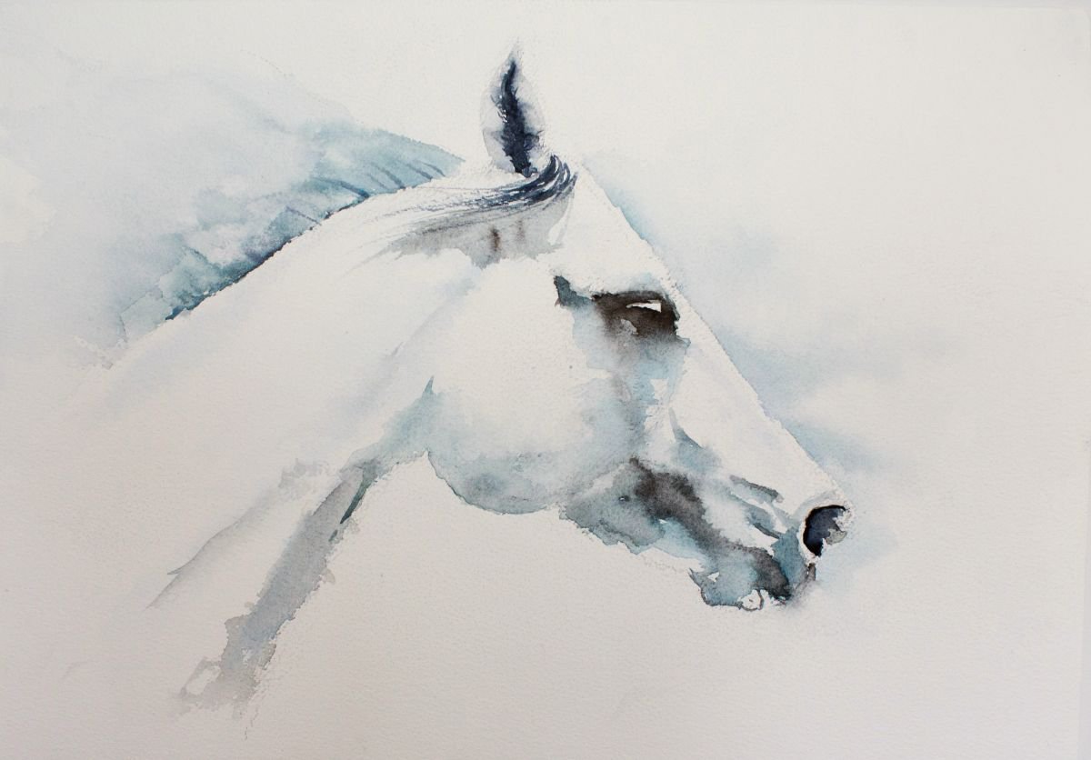 Horse by Tomasz Mikutel
