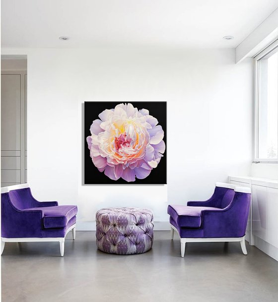 "Sunny peony", floral art