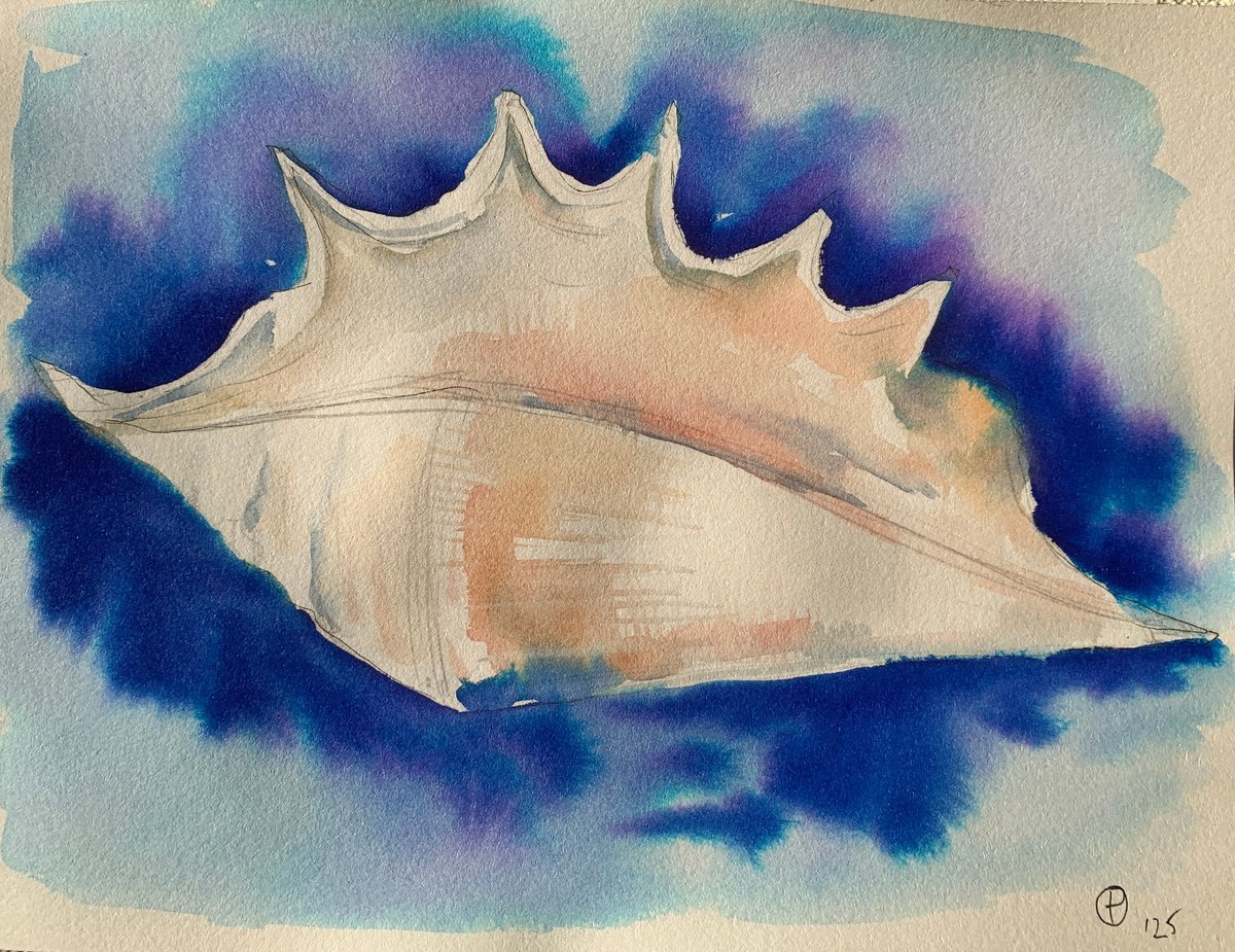 Impressionistic Still Life Watercolour By Olga Pascari, 11 X 8", Sea Shell, Original Artwork