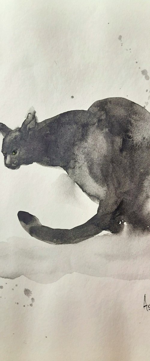 The Crouching Black Cat by Asha Shenoy