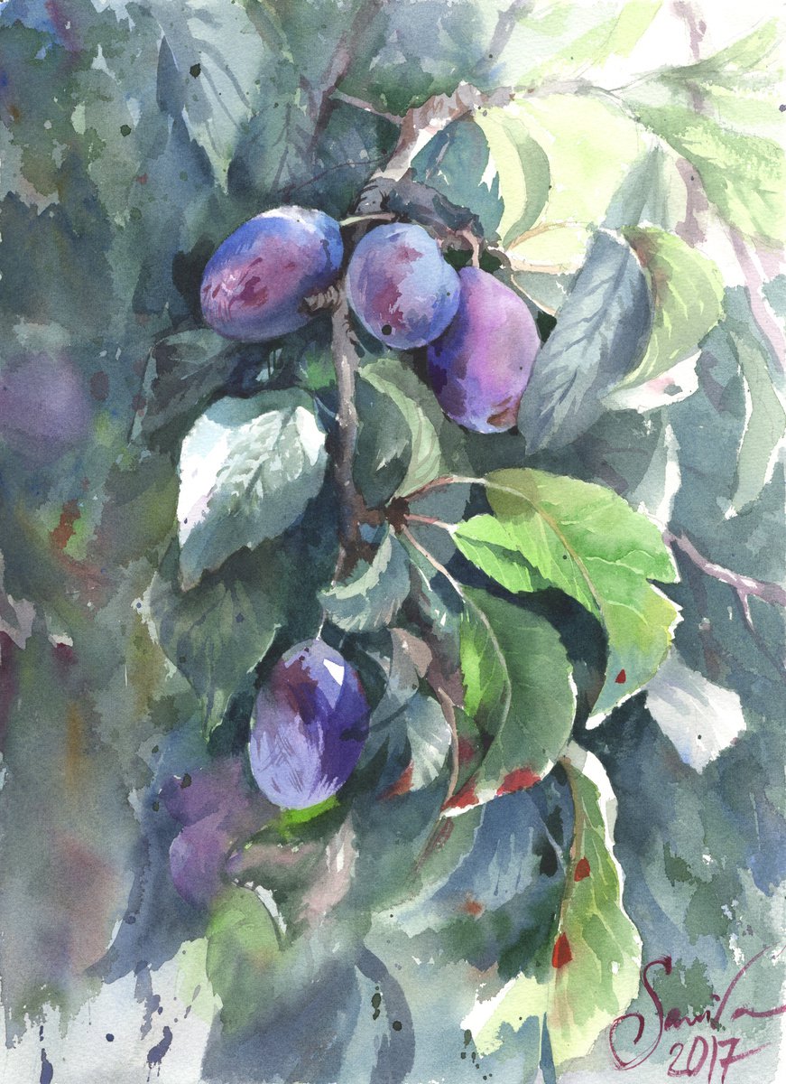 Sweet plums by Samira Yanushkova