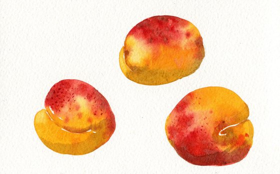 3 Apricots Painting