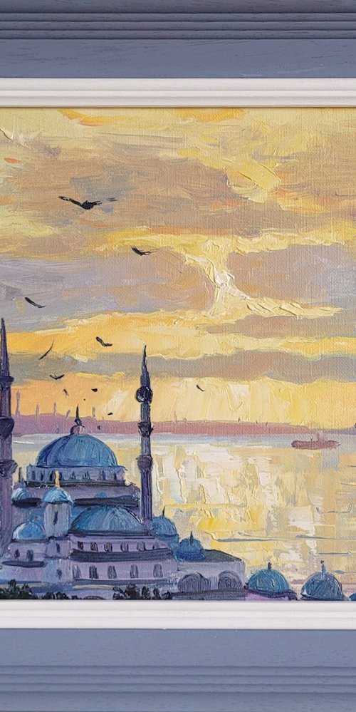 View of Instanbul Turkey by Roberto Ponte
