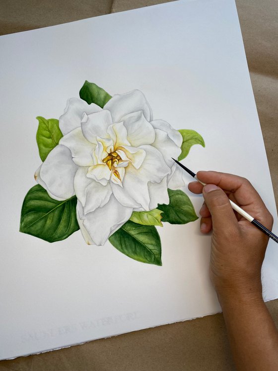 White Gardenia