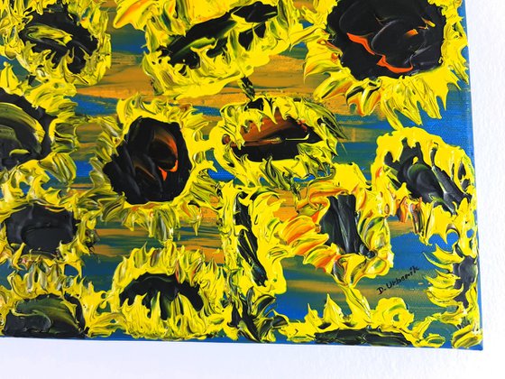 Blooming sunflowers 5