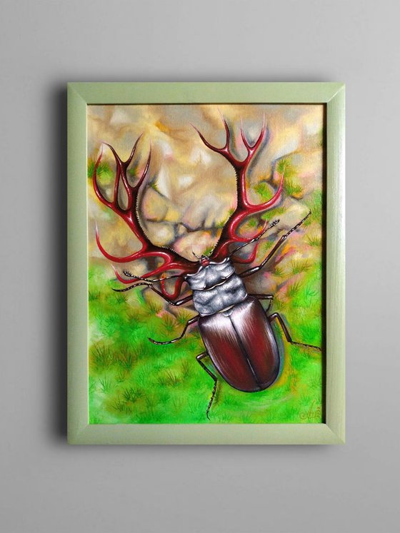 Deer or Beetle
