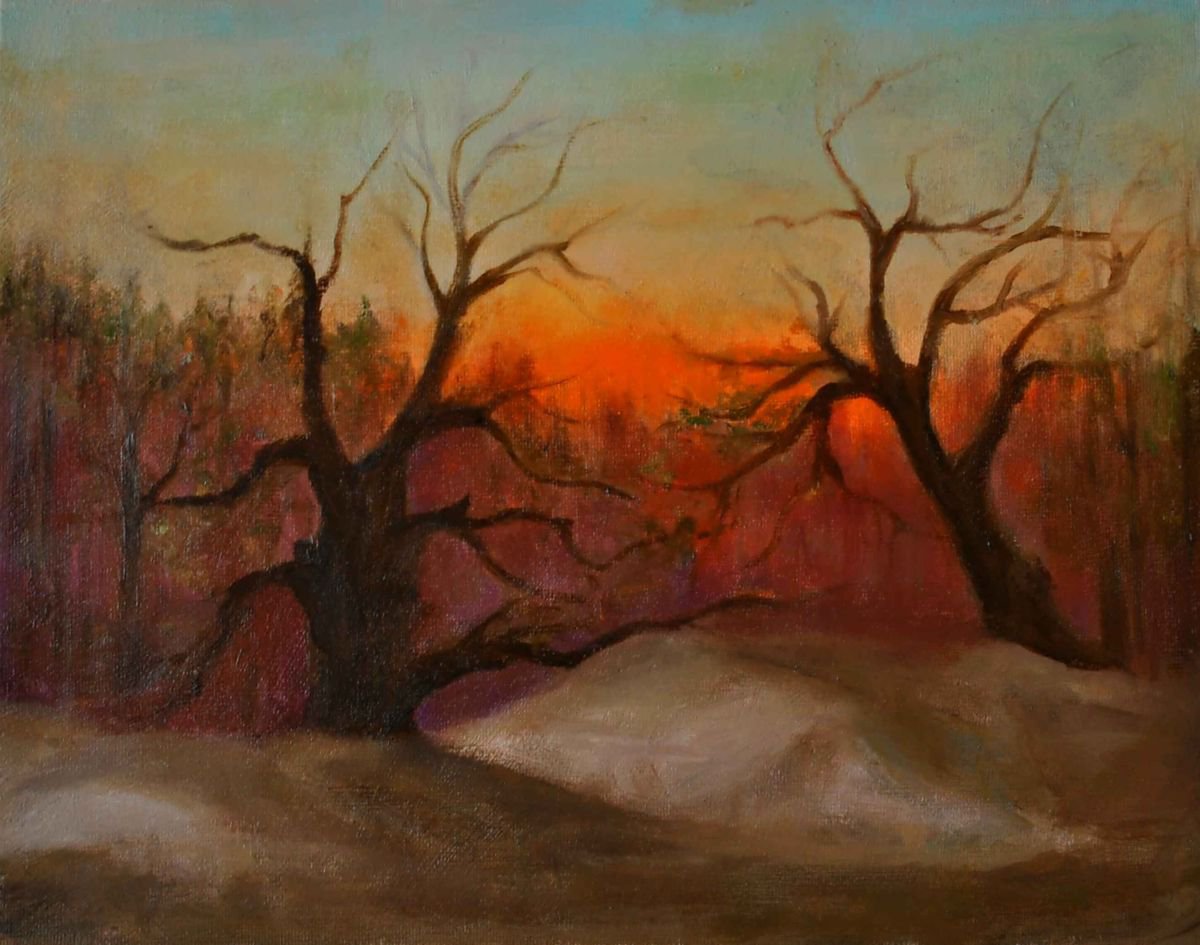 Impressionistic Landscape Oil Painting By Daniela Roughsedge, 9 X 7, Sundown, Original Artwork