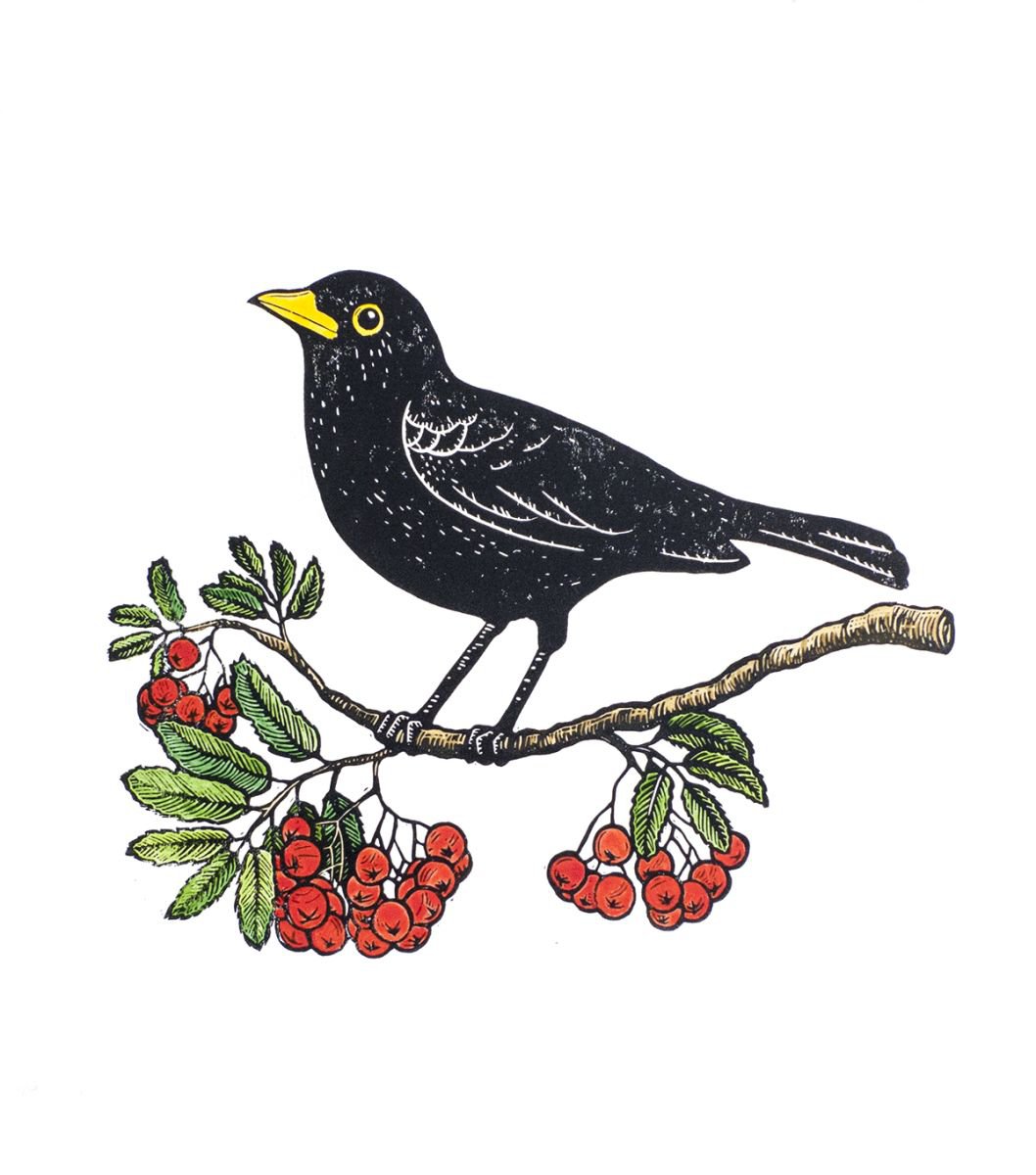 Blackbird & Rowanberries, original hand-colored linocut by Tian Gan