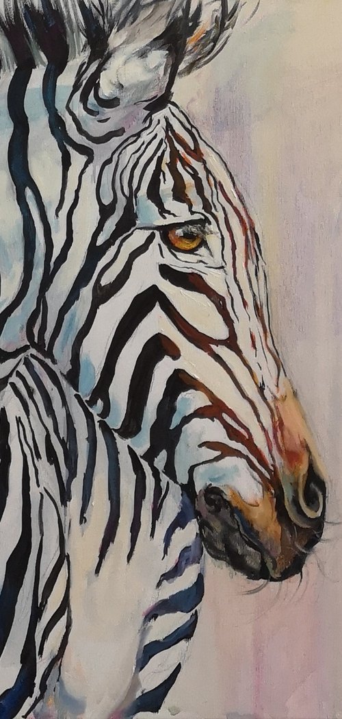 Morning zebra by Olga Samar