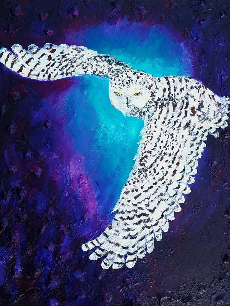 Night owl by Marily Valkijainen