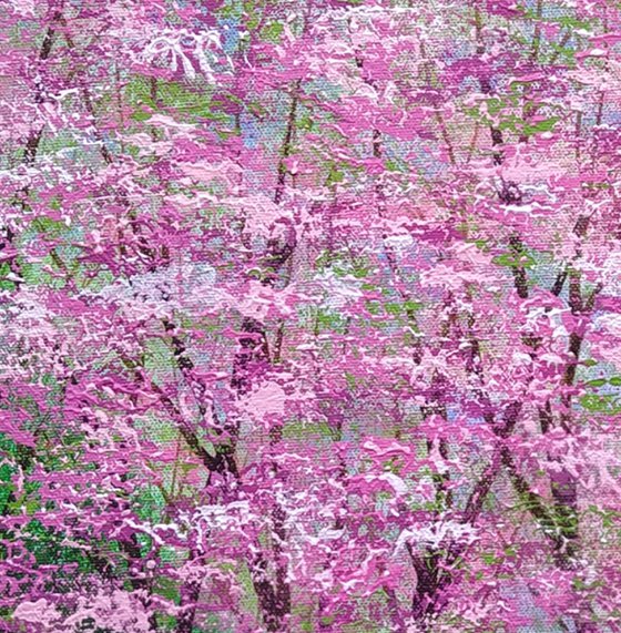 Magenta and Light