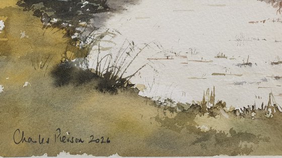 Meadow and Stream Reflections