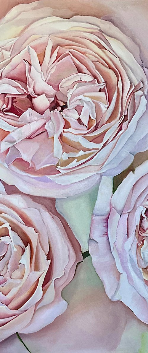 Soft Pink Roses by Natalia Lugovskaya