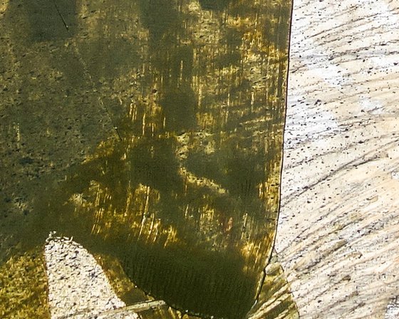 Confluence Landscape 3