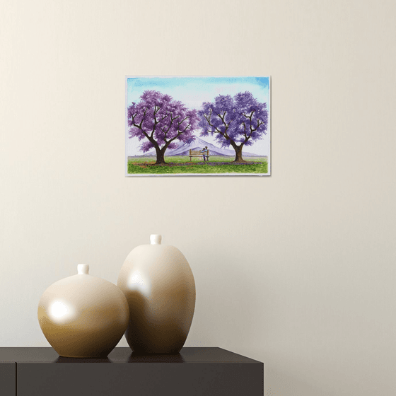 Under the blooming Jacarandas