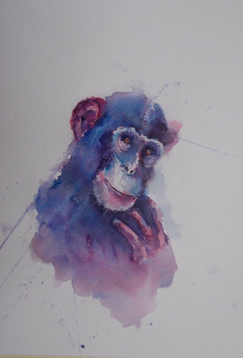 Impressionistic Animal Watercolour By Giorgio Gosti, 14 X 21, Chimpanzee 3, Original Artwork