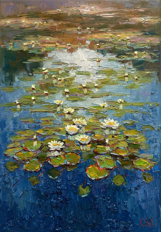 "Water lilies"