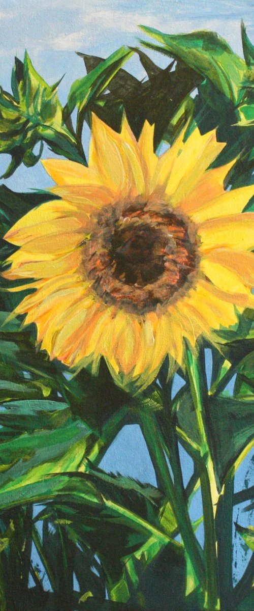 Sunflower by Linda Monk