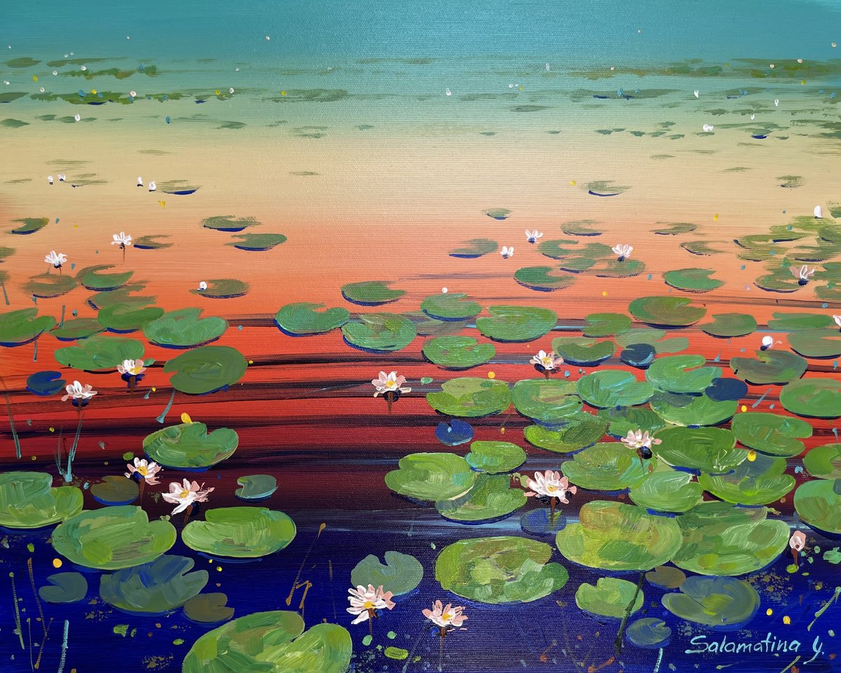 Water lilies. Sunrise and sunset by Yevheniia Salamatina