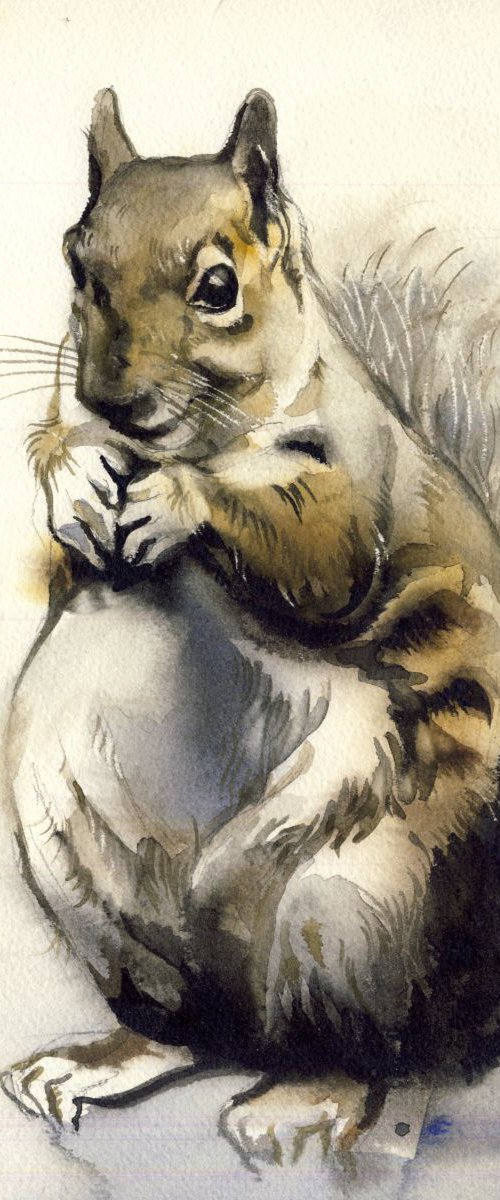 Squirrel watercolor by Alfred Ng