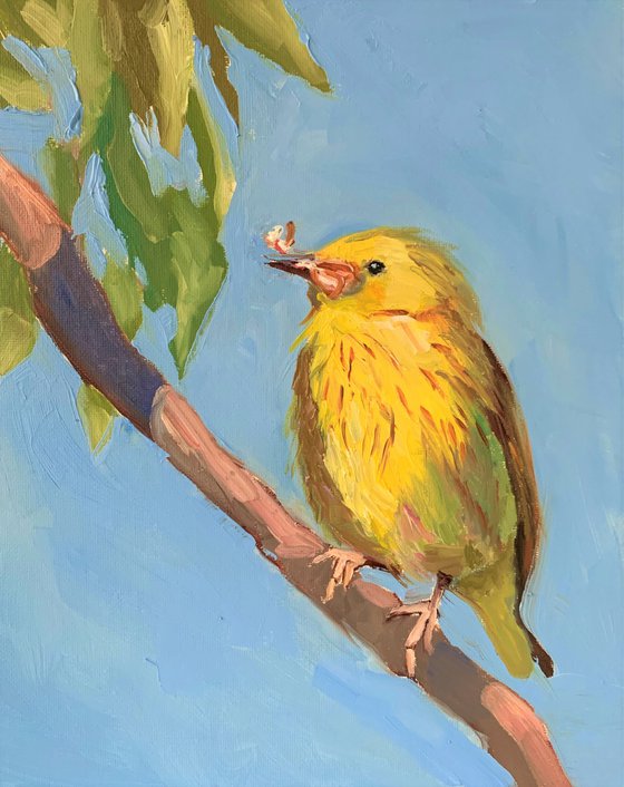 Yellow bird.