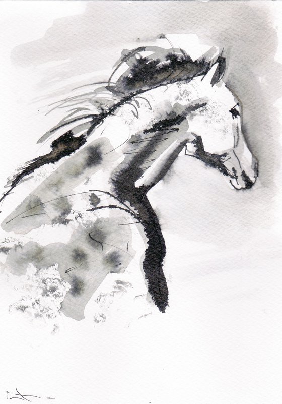 Horse study