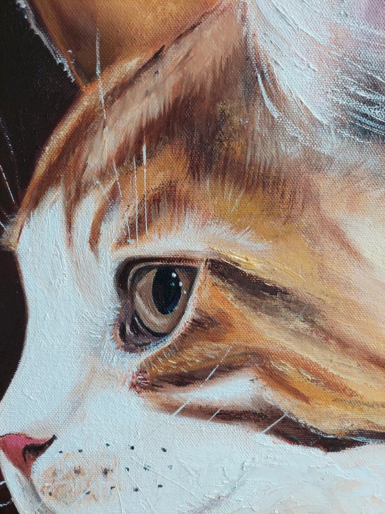 Ginger Cat