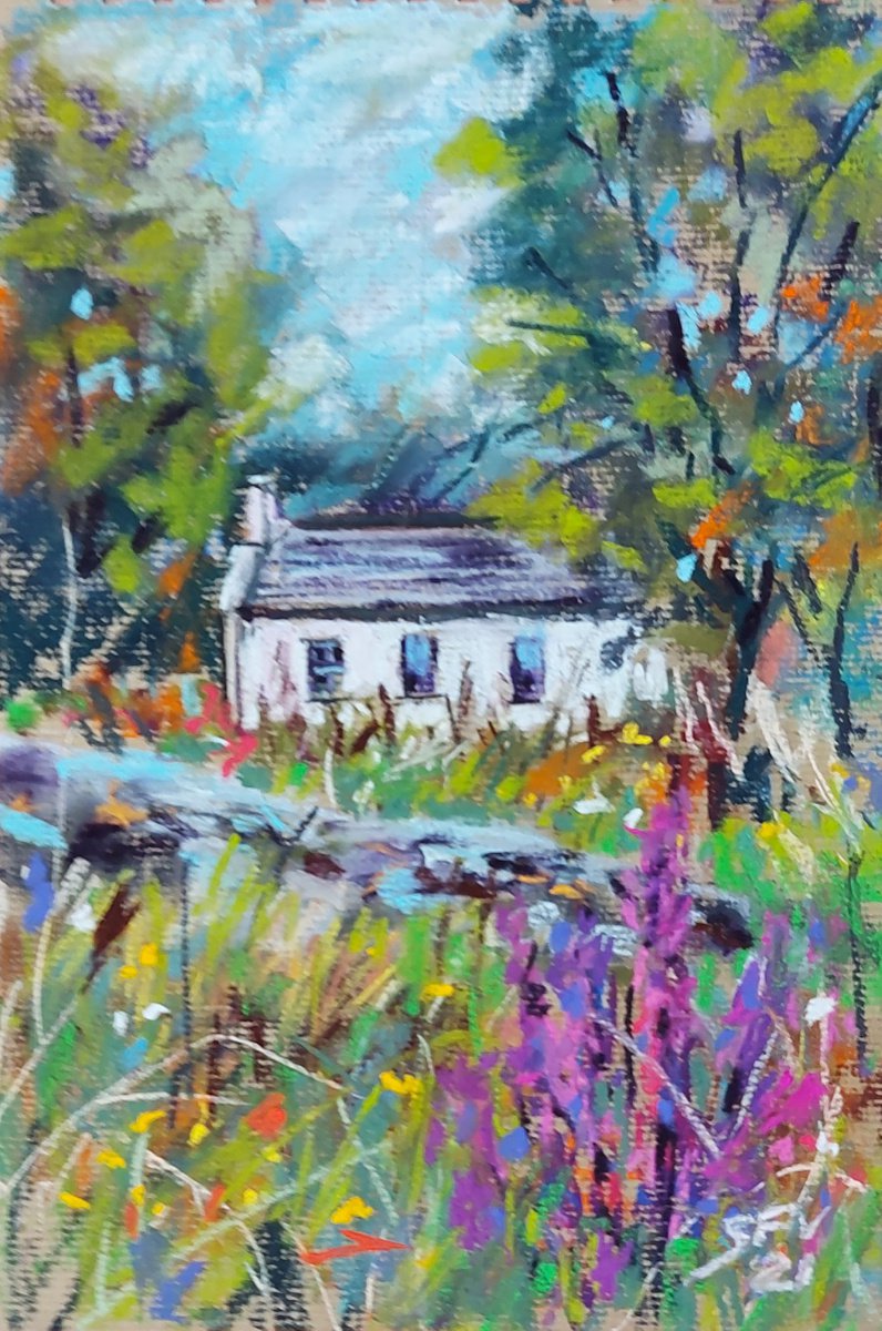 An Irish cottage by Silvia Flores Vitiello