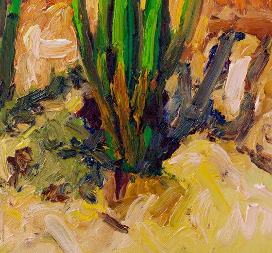 Bright Summer Day. Cactuses in the Desert.