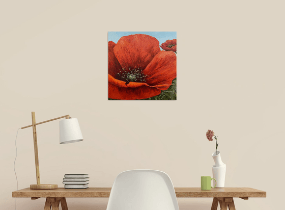 Poppies