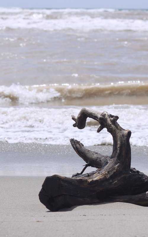 Wood in the sea no.2 by Mattia Paoli