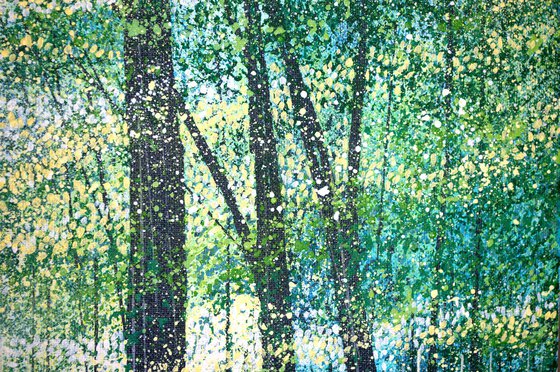 Light Through Summer Trees #3