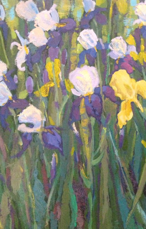 irises by Sergey  Kachin