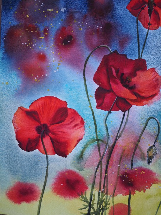 Expressive poppies