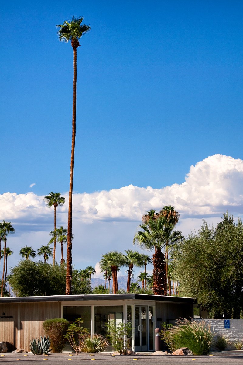 BLUE HORIZON Palm Springs CA by William Dey