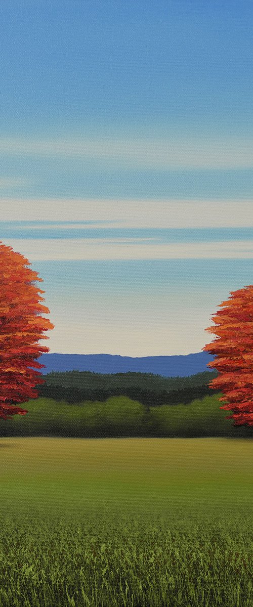 Red Trees by Suzanne Vaughan