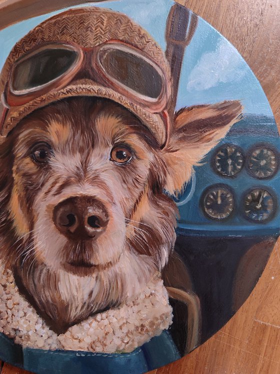 My little friend in flight