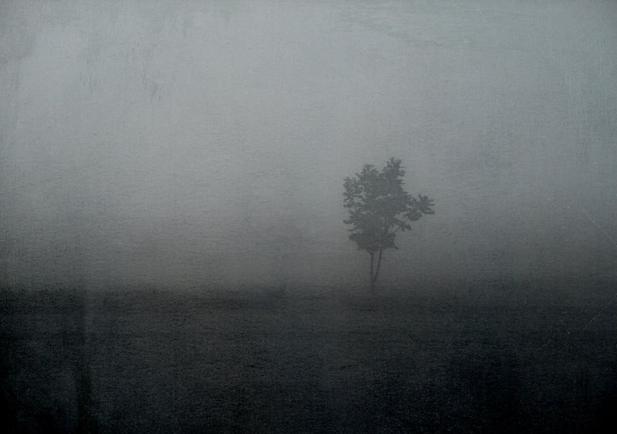 ALONE..... by Philippe berthier