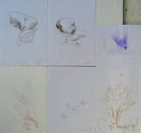 Six sketches - Birds, 21x29 cm - affordable & AF exclusive !