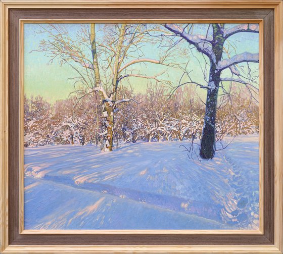 Poplars in February. Tsaritsyno